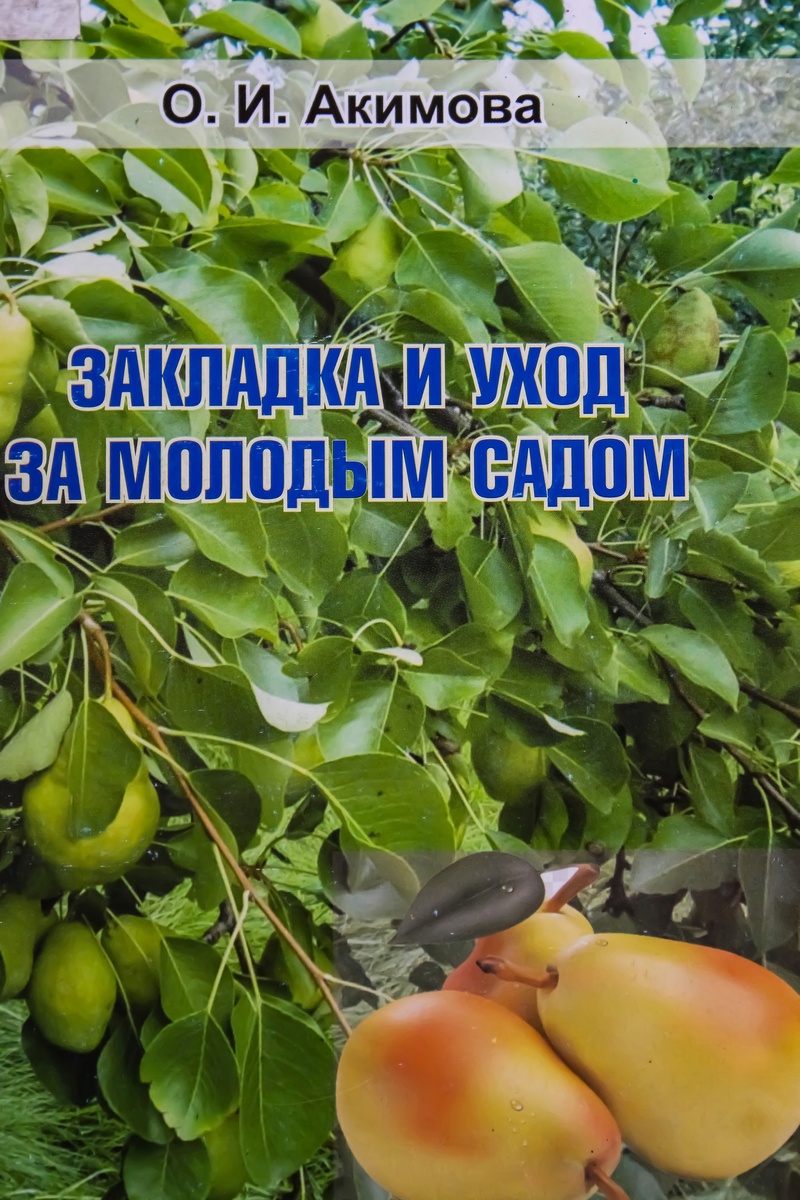 Обложка книги О. И. Акимовой Закладка и уход за молодым садом