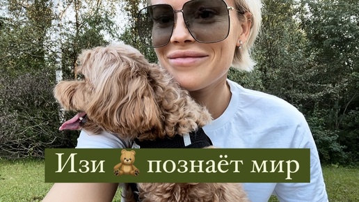 Моя собака в шоке! Первый выгул 🐕 Познаём окружающий мир