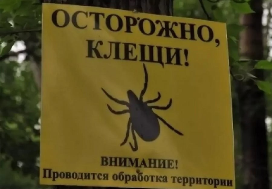 Профилактика осенью: защита омских парков от клещевых нашествий