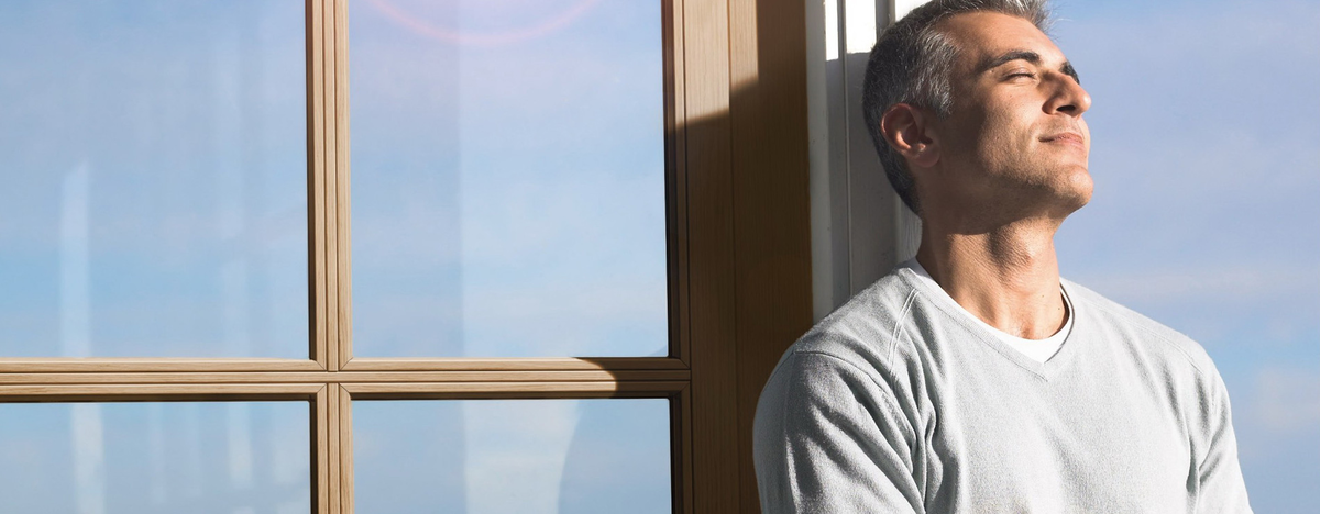 Фотография взята из источника yandex.ru