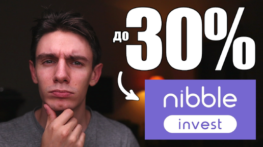 Вместо вклада вложил деньги в инвестплатформу Nibble invest под 30% годовых. Сколько удастся заработать?