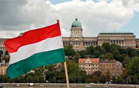 Источник фото: ridus.ru 