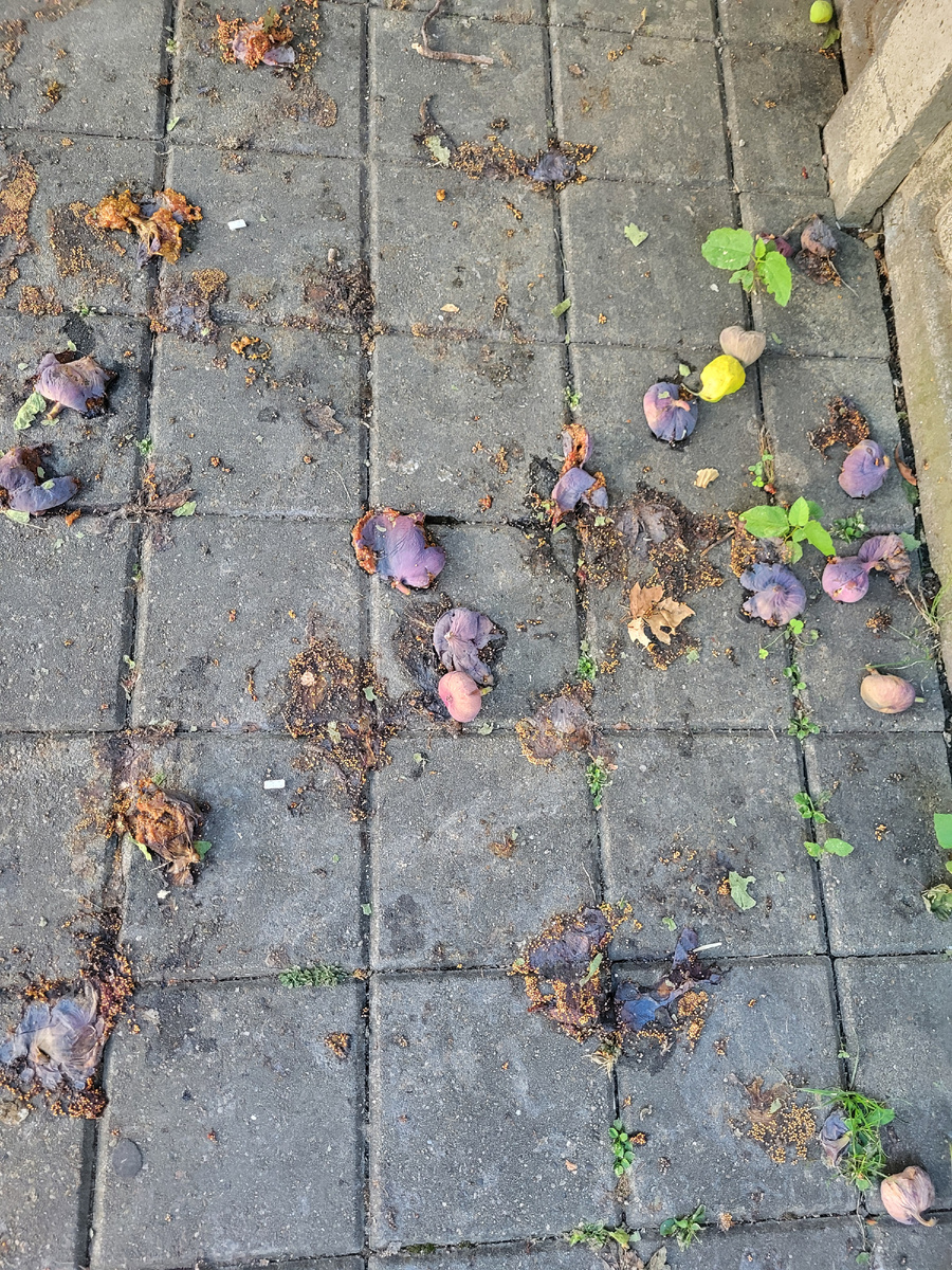 Как-то так...