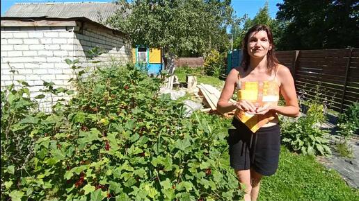 Наши трудовые будни в деревне/ Купили дом в деревне/