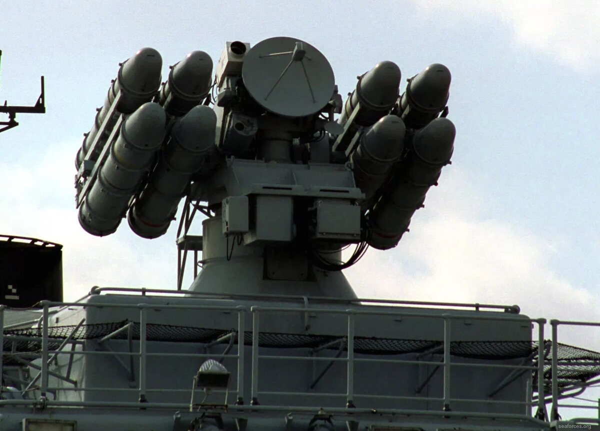 Источник фото: seaforces.org 