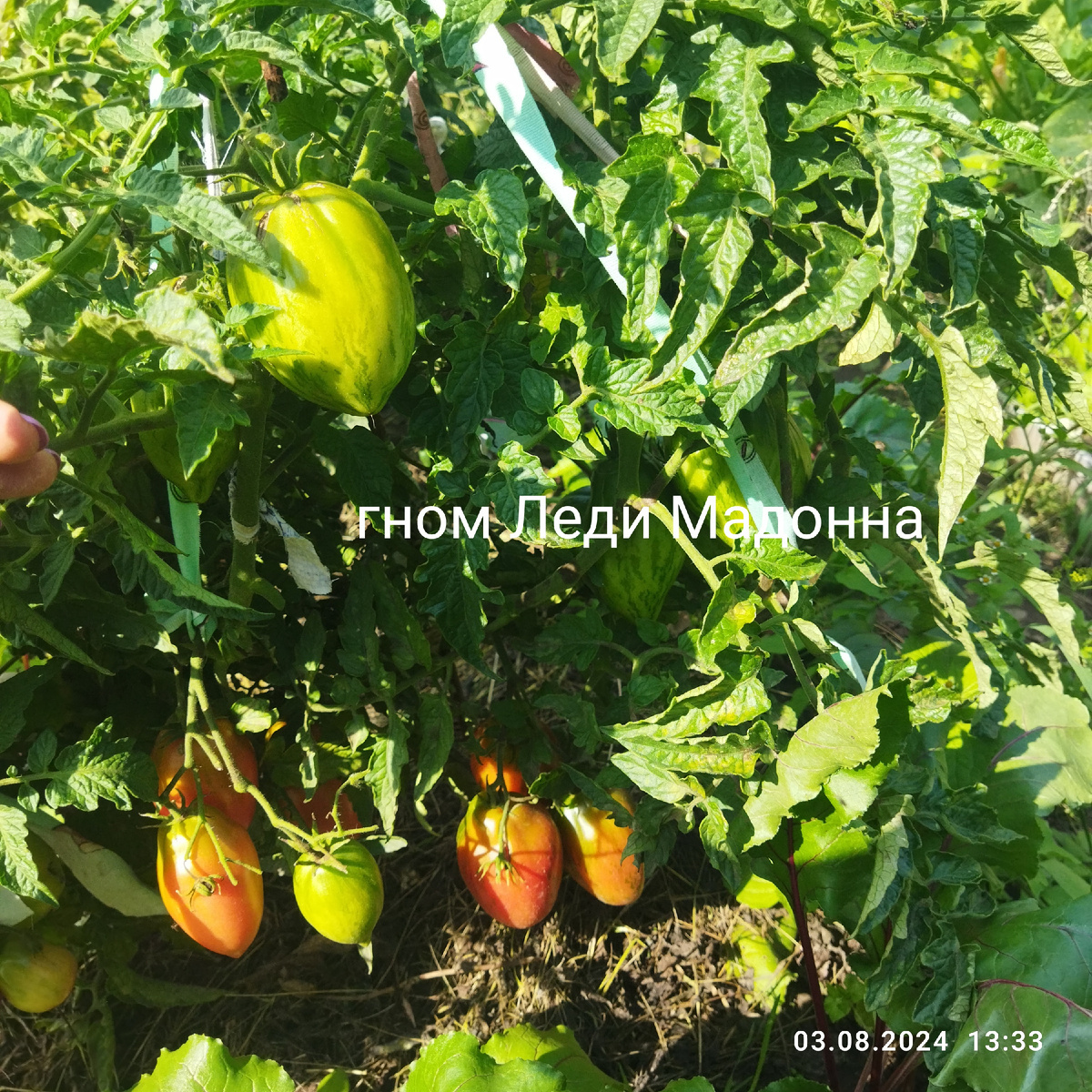 Отсюда уже много что сняла. Фото во время дождей. Листайте
