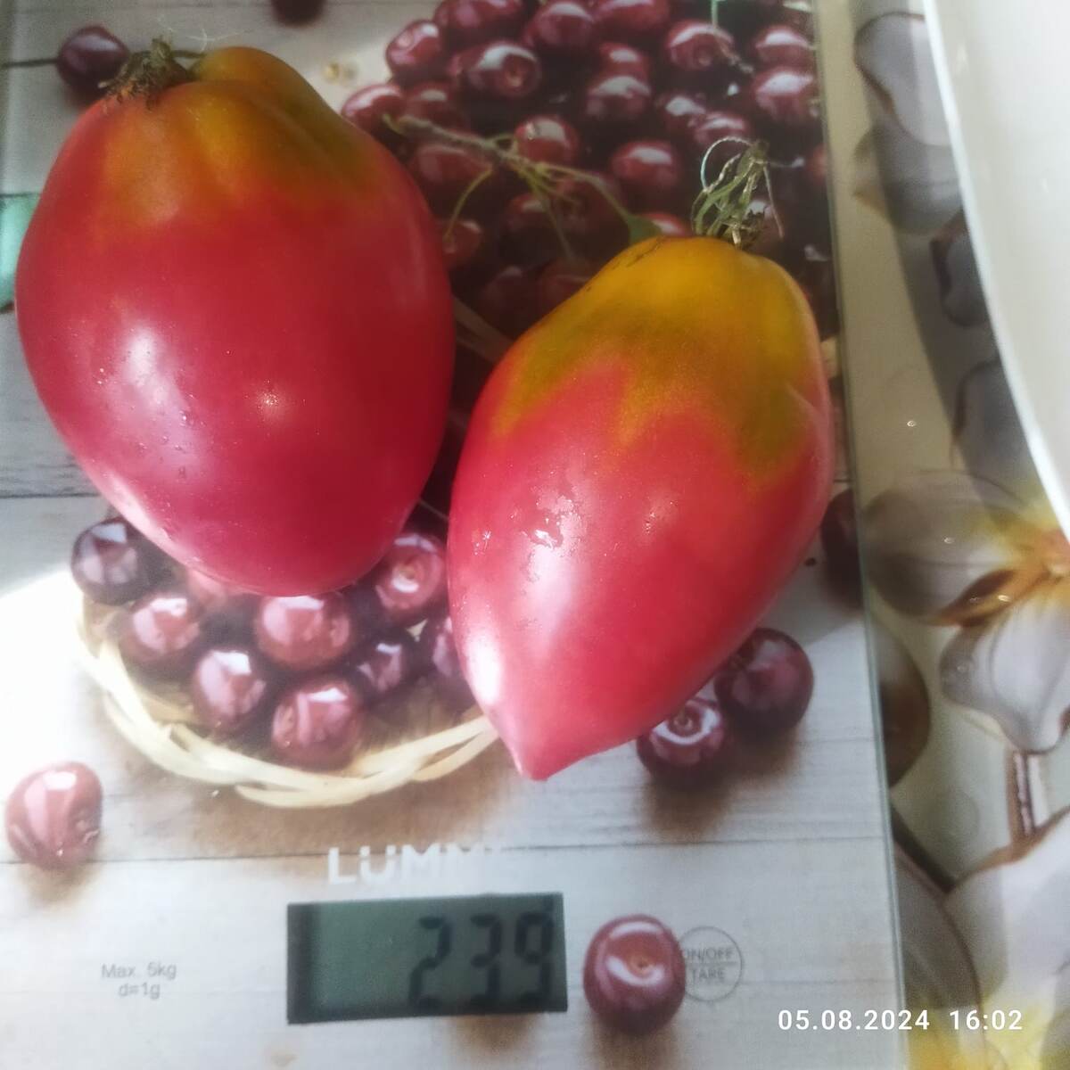 Это вторые помидоры с куста. Листайте