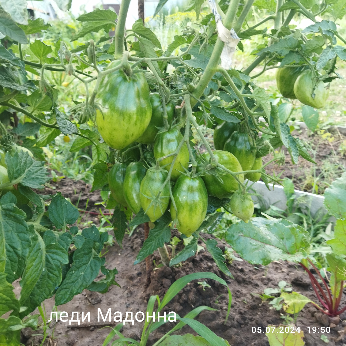Его самые первые кисти