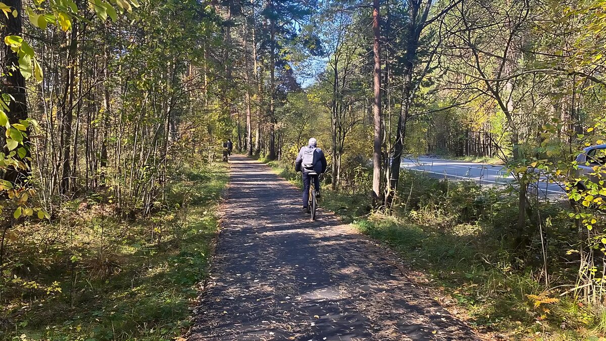     Источник: 1MI