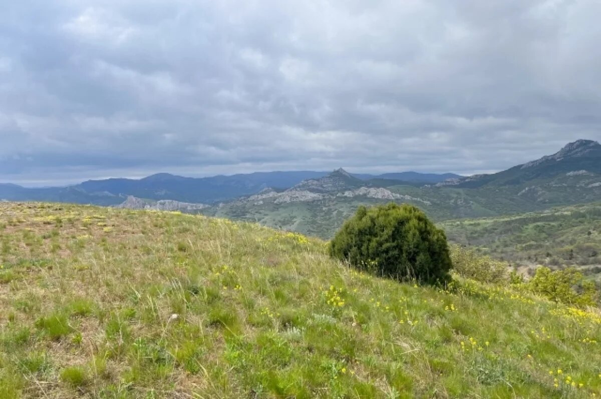    В природном парке «Ингилор»завершилась добровольческая миссия
