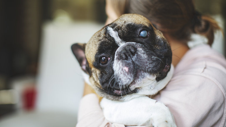    JulPo/istockphoto.com