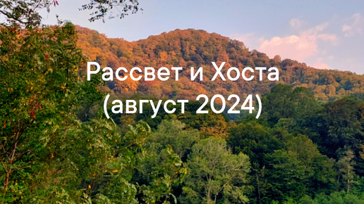 Рассвет и Хоста. Знакомство с городом в августе 2024.