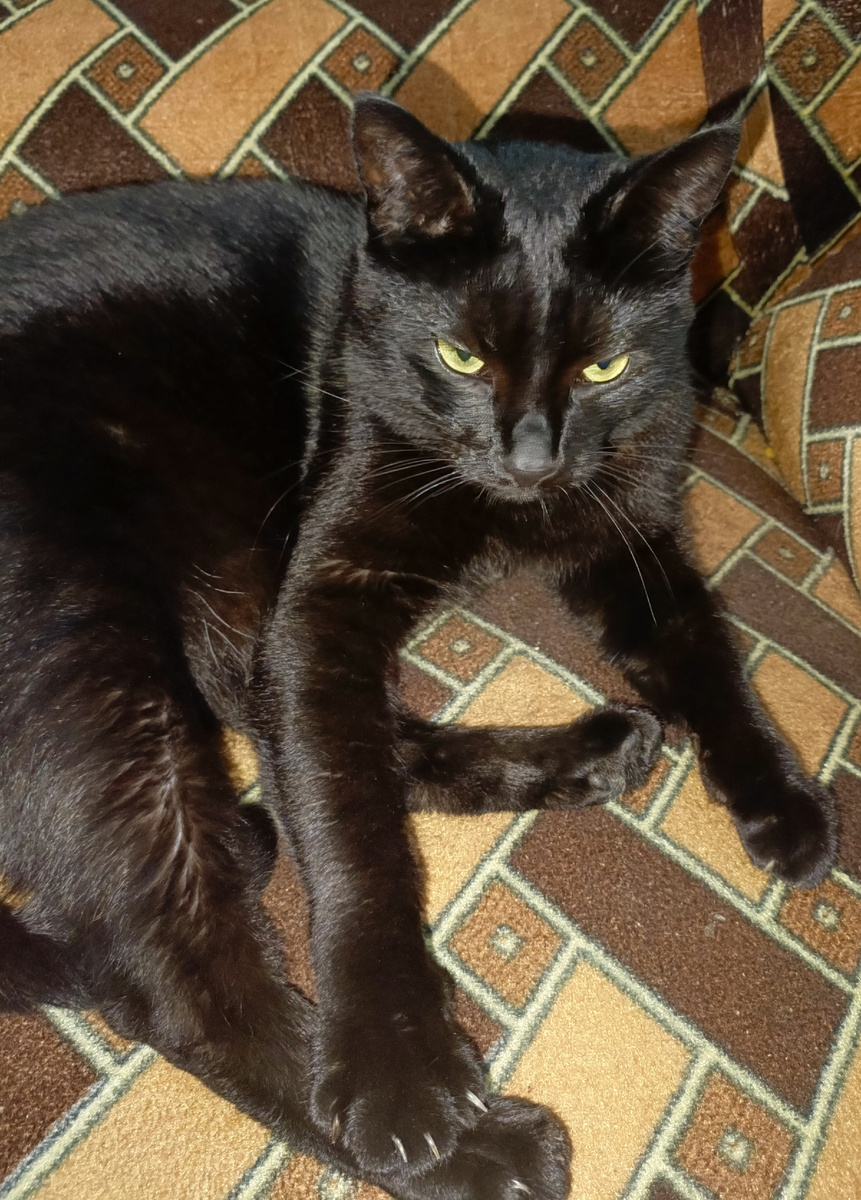 Такой симпатяга не может лукавить!