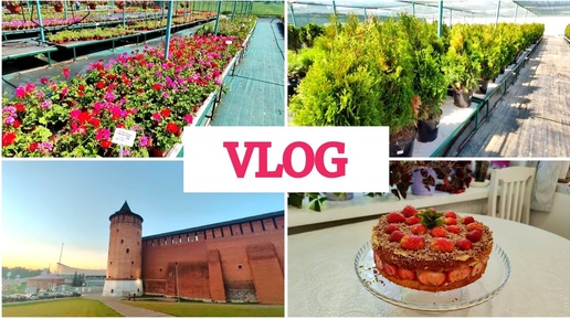 VLOG: ПОЕЗДКА В САДОВЫЙ ЦЕНТР🌹КЛУБНИЧНЫЙ ТОРТ🍰КОЛОМЕНСКИЙ КРЕМЛЬ🏰ОТВЕЧАЮ НА КОММЕНТАРИИ