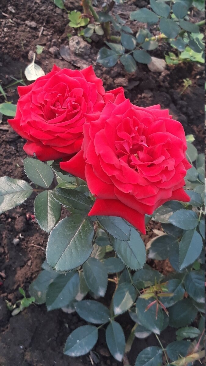 фото Наталии