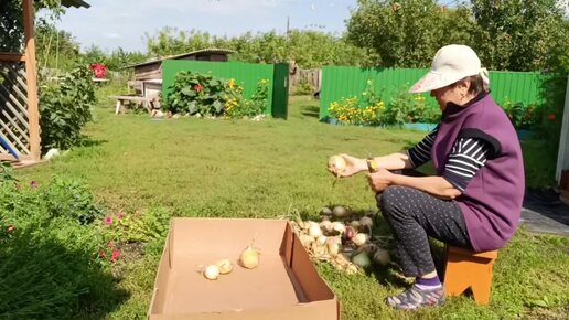 Начинаю сезон заготовок 🎉 Готовлю салат из баклажан 🍆