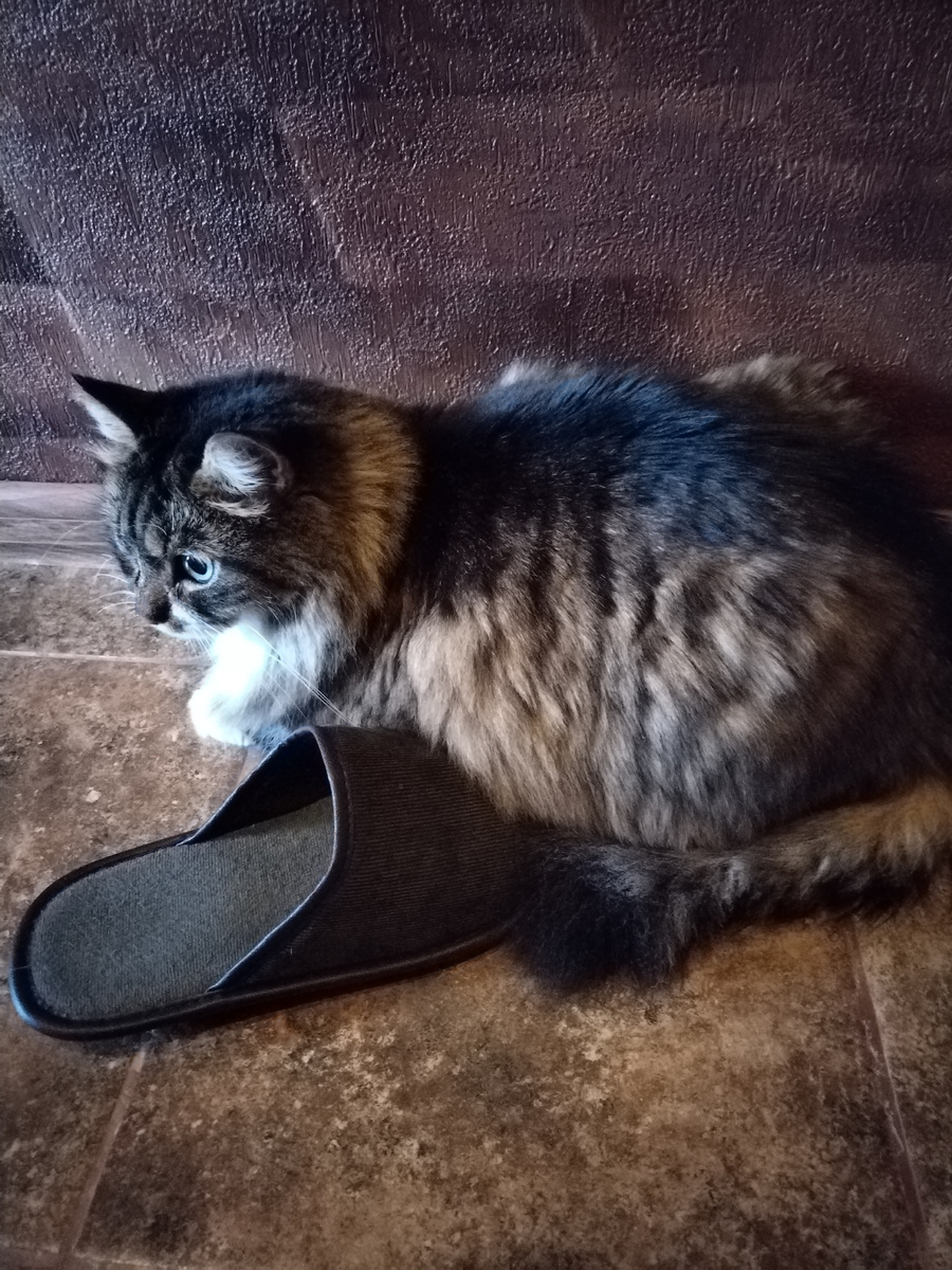 СКУЧАЕТ!!!!❤️❤️❤️