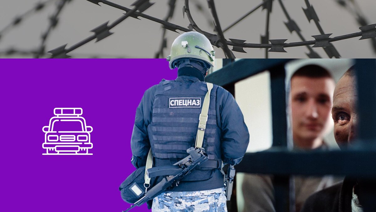 Коллаж 78.ru: pikabu.ru, Alexey Myakishev; Belkin Alexey/globallookpress.com, flaticon.com/Freepik