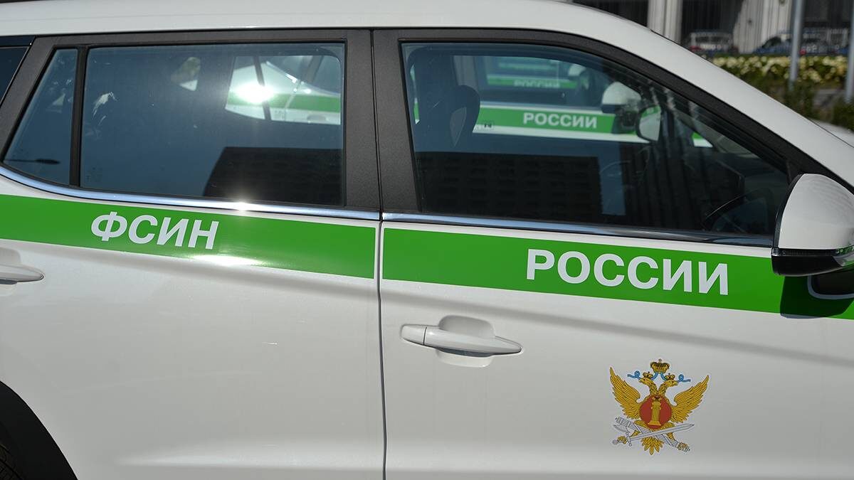    Фото: Александр Кочубей / Вечерняя Москва