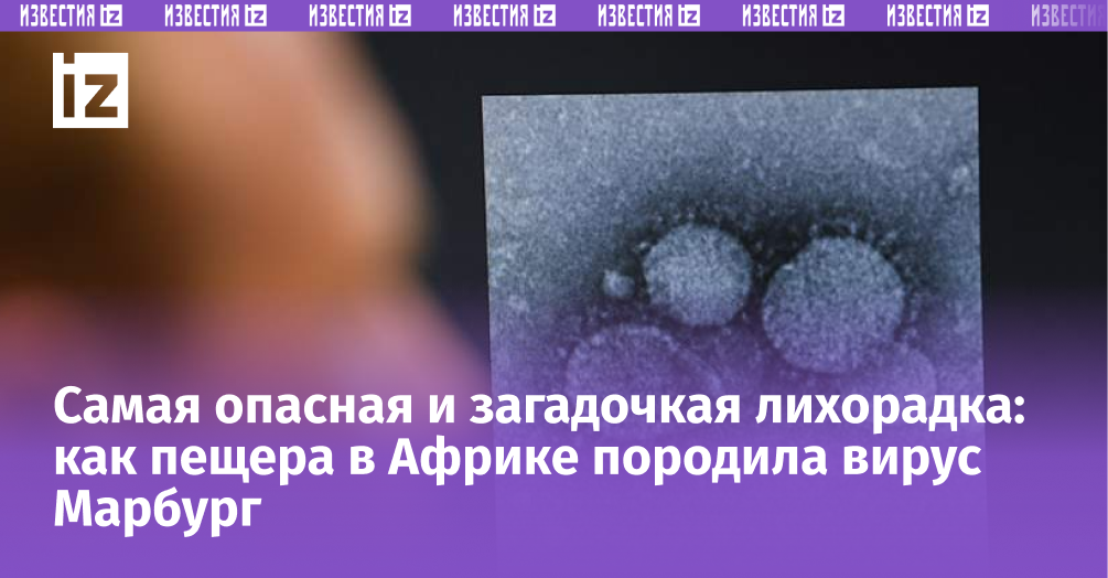 Фото: Global Look Press/dpa/Arne Dedert