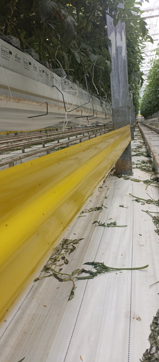 Тепличный комплекс.