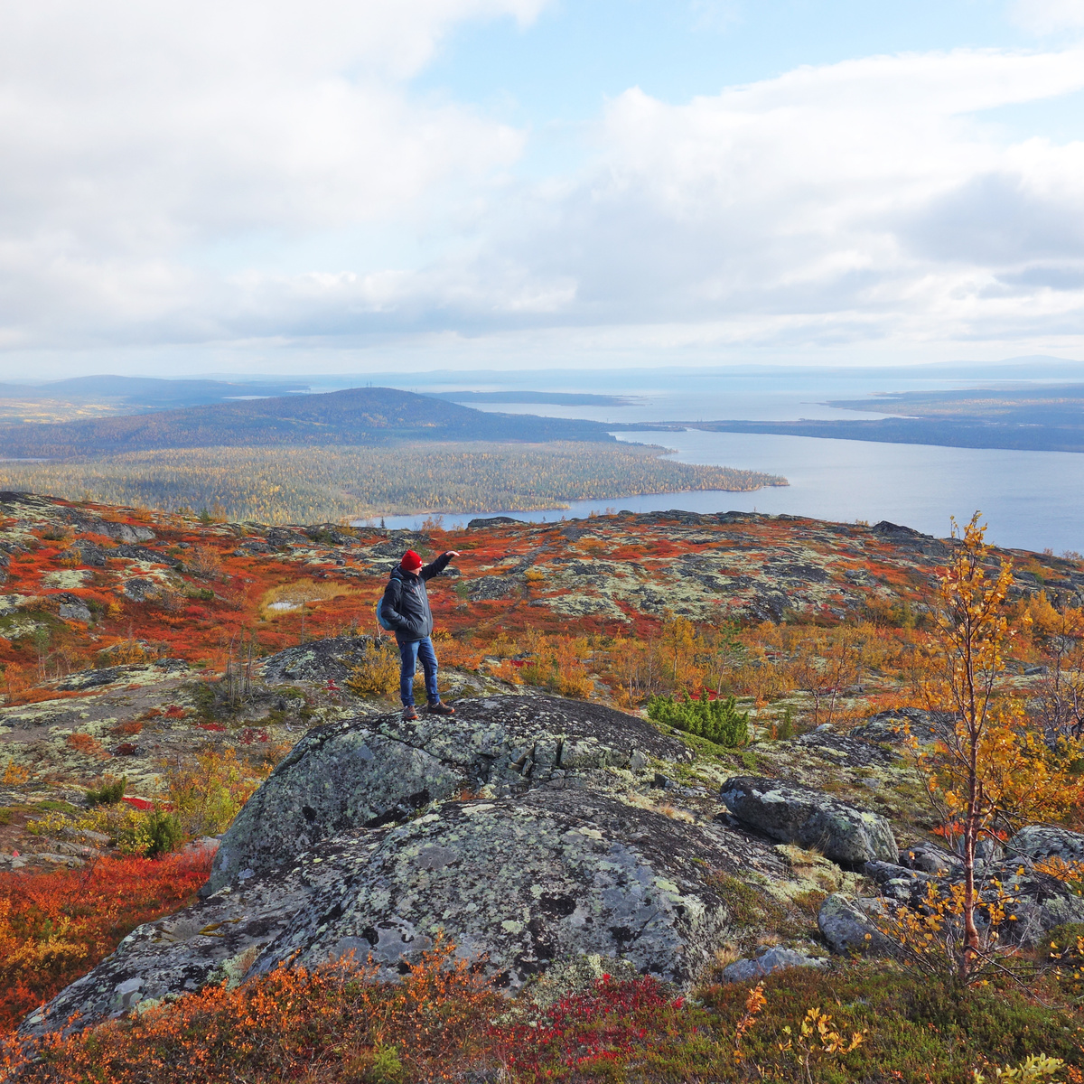 Лапландский заповедник. Есть благоустроенные тропы, доступно для туристов любой подготовки. Это всего в 175 км от Мурманска.