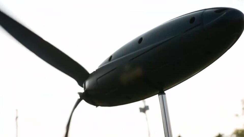 Фото: © Скриншот видео