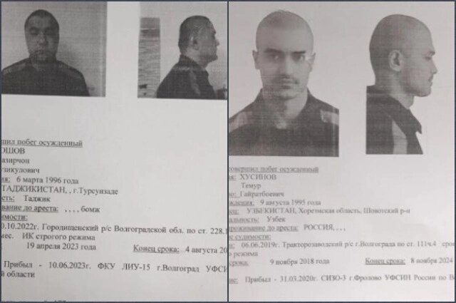 Криминальные группы. Волгоград зона террористы. Волгоград зона террористы. Криминальные группы. Полиция оцепили лесопосадку.