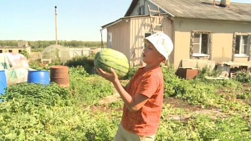 Школьник из Ярославля собирает рекордный урожай