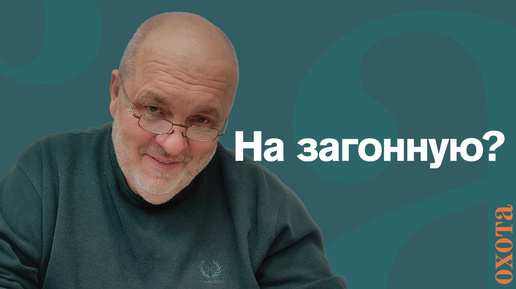 Загонная охота. Валерий Кузенков о том, как правильно охотиться?