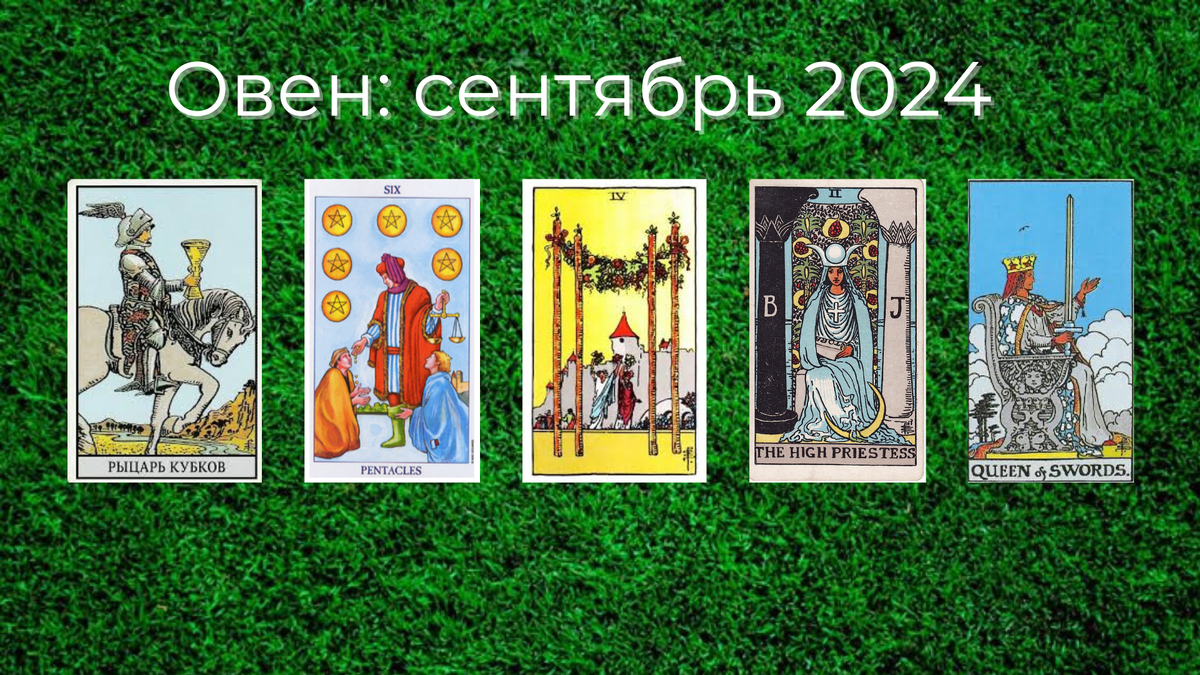 Добавьте описание
