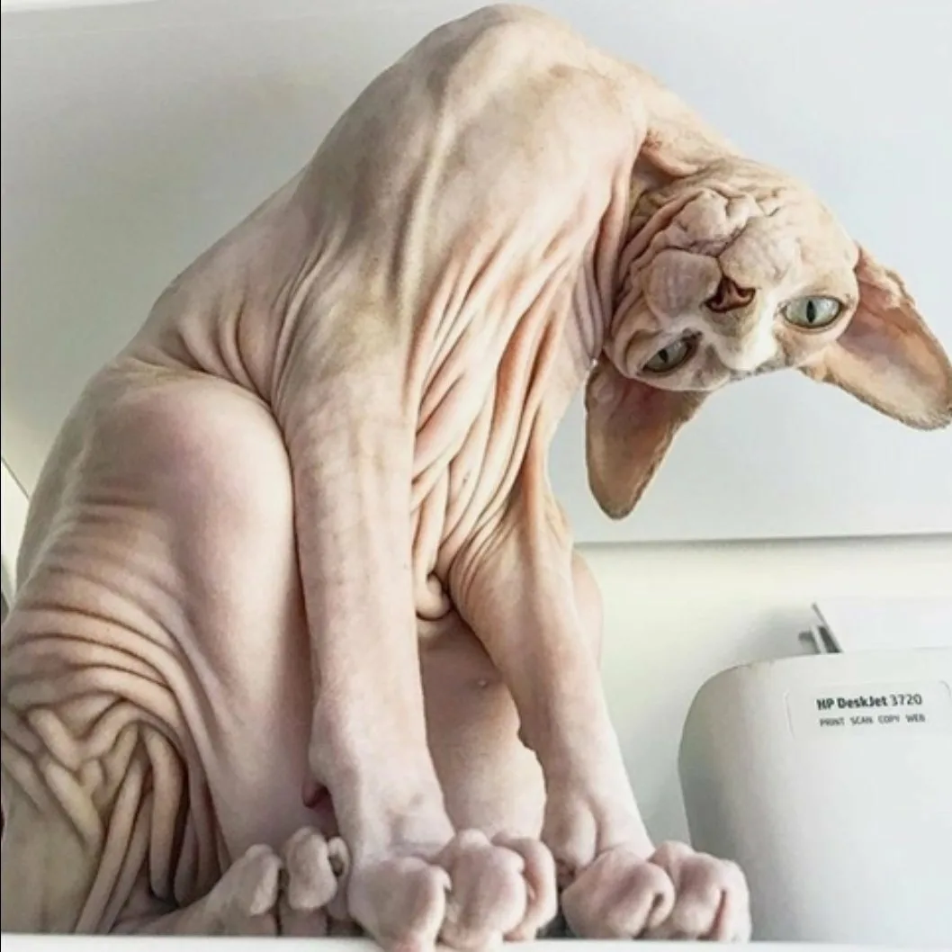 Фото из сети