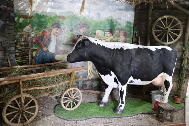    В Запорожской области открылась выставка Кировской области