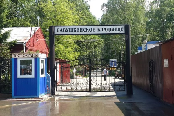 Фотография взята из источника yandex.ru