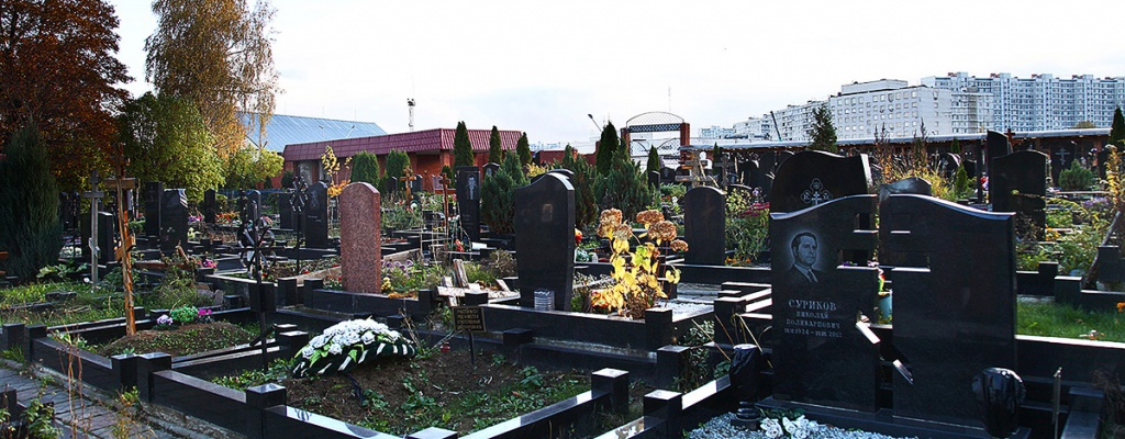 Фотография взята из источника yandex.ru