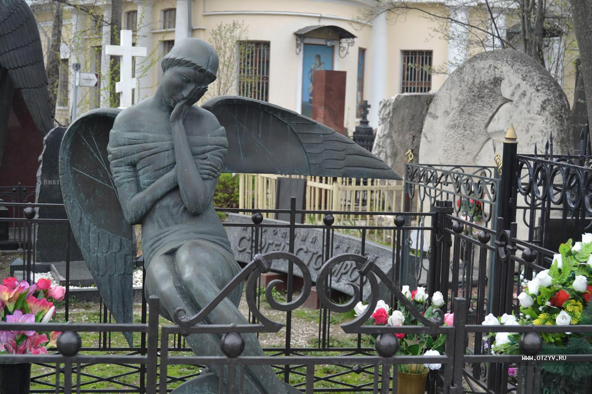 Фотография взята из источника yandex.ru