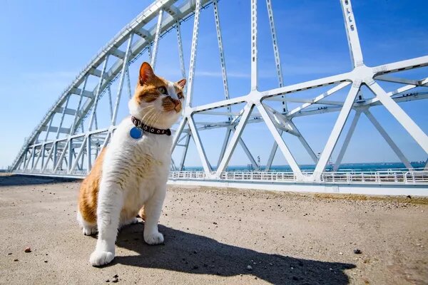 © Sputnik / Dmitry Makeev