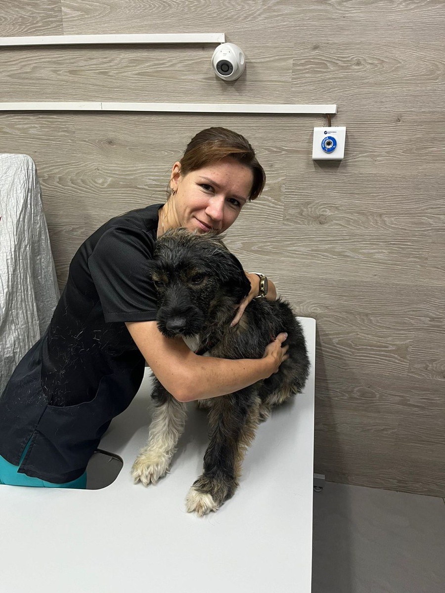 Стоматолог Раденис-Солнечногорск Третьяченко Ольга Николаевна