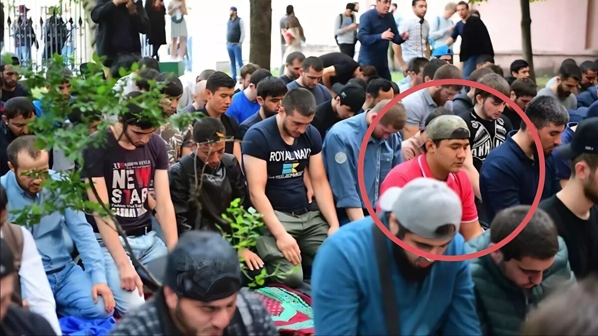     Источник: Поздняков 3.0