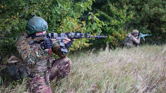    ВС РФ уничтожили украинскую ДРГ вблизи Камышевки в Курской области Анастасия Романова