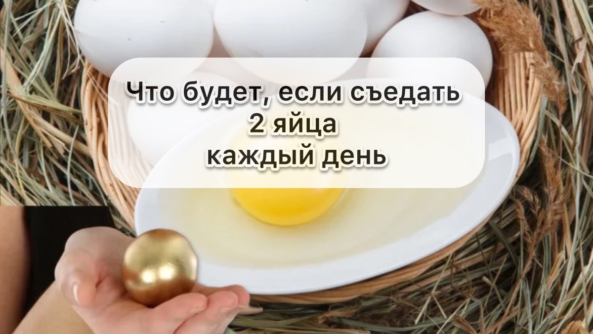 что будет, если есть яйца каждый день