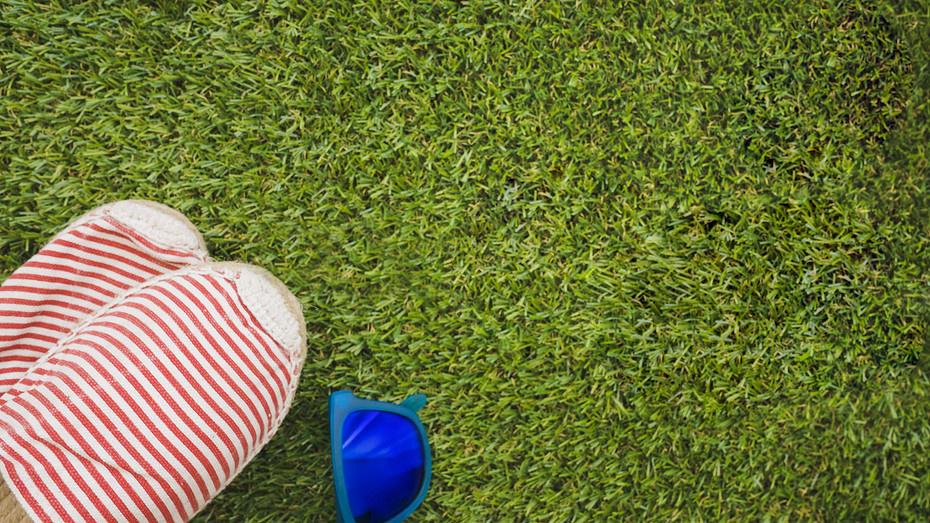     Источник фото: freepik.com