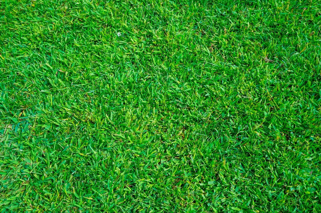       Источник фото: freepik.com (@4045)