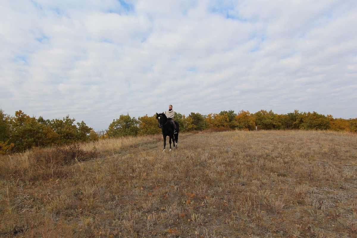 осенний простор