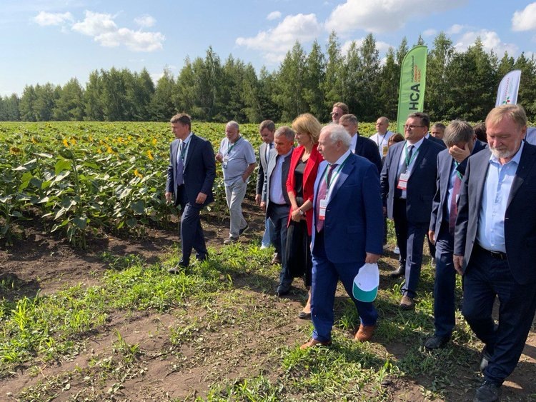    Главное об отечественной селекции