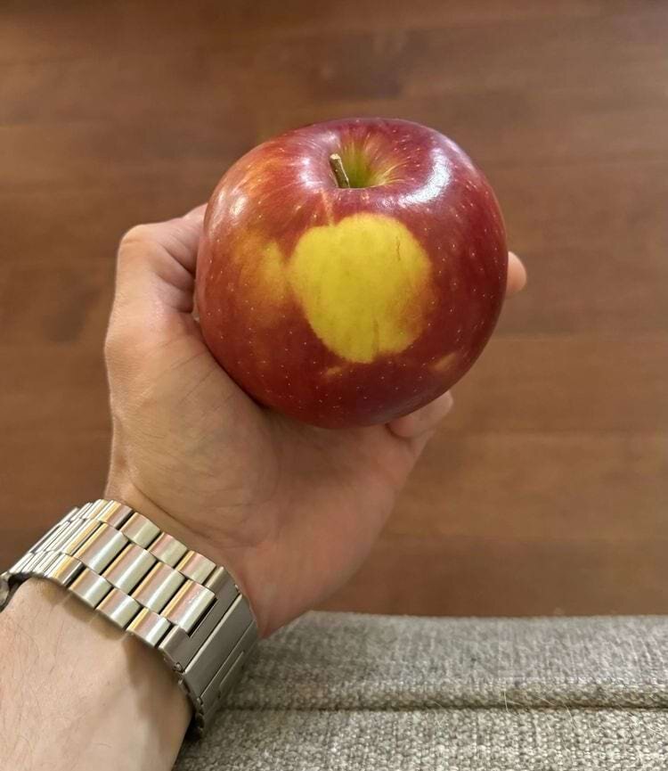 Источник: guitarisma3/reddit