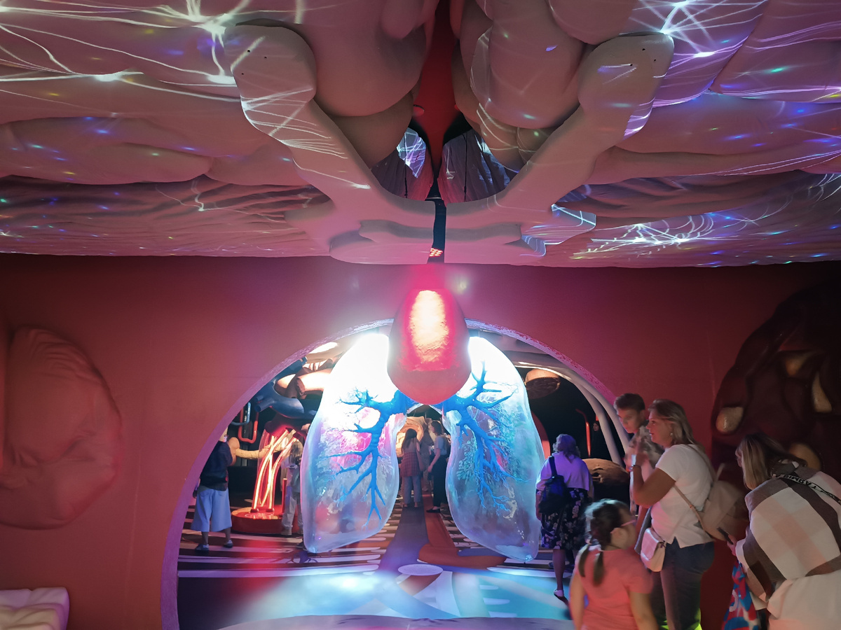 Добавьте описание