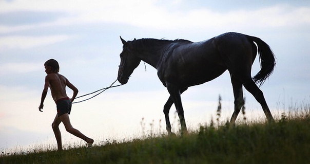 Из свободных источников