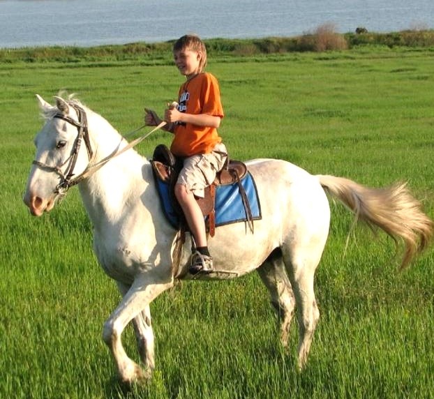 Из свободных источников