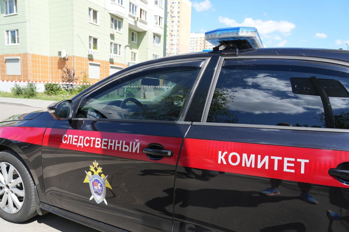     / Источник: © ИЗВЕСТИЯ/Дмитрий Коротаев